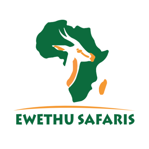 logo-image